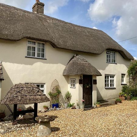 Guest Suite At 31 Little England Milborne Saint Andrew Eksteriør bilde