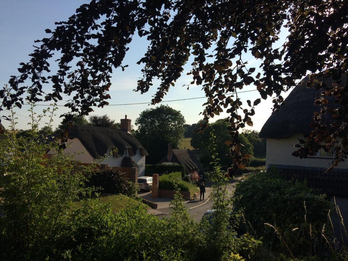 Guest Suite At 31 Little England Milborne Saint Andrew Eksteriør bilde