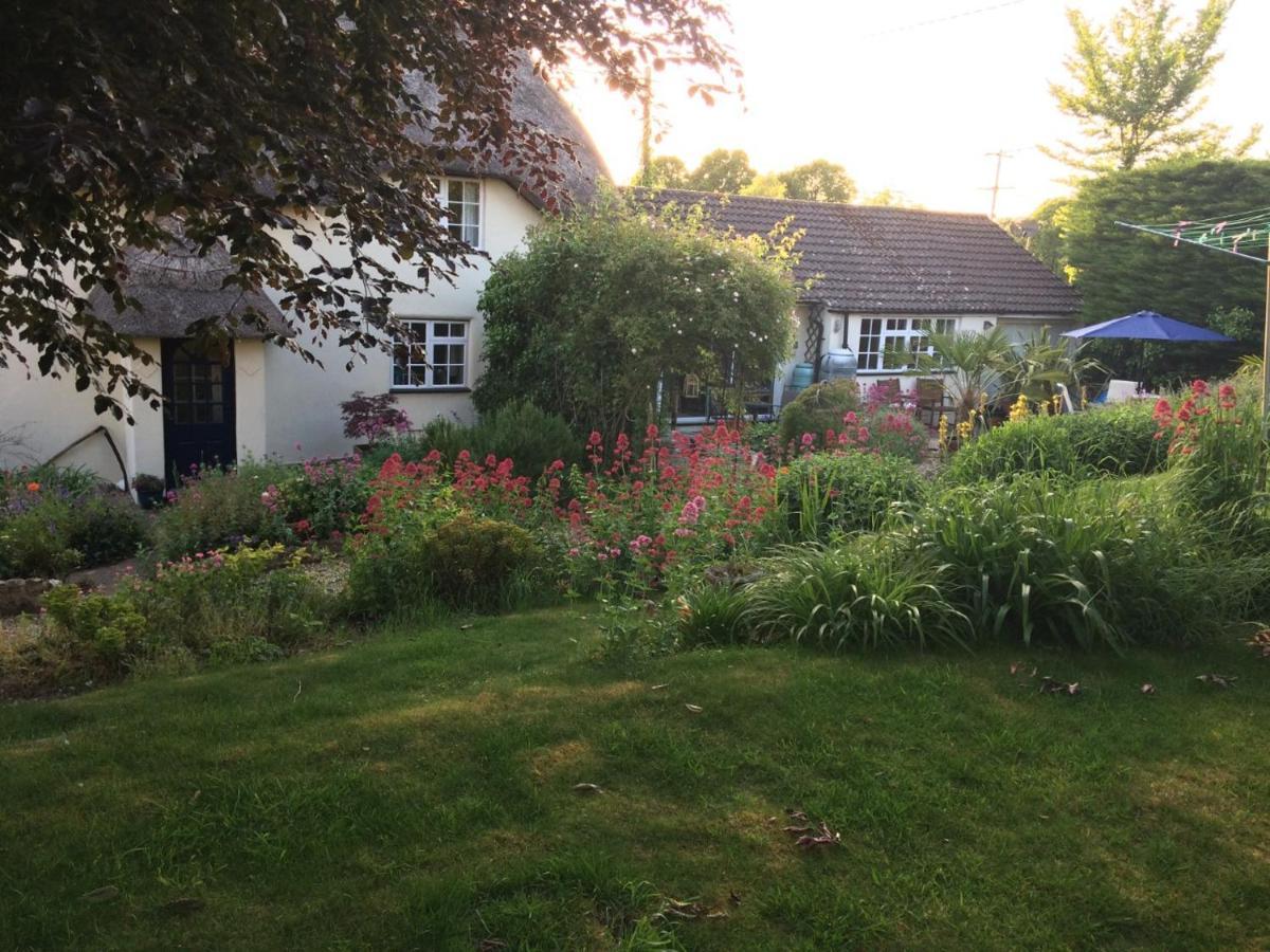 Guest Suite At 31 Little England Milborne Saint Andrew Eksteriør bilde